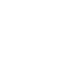 icon icon